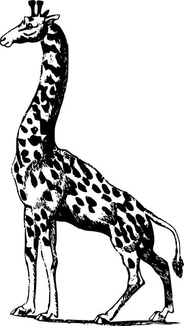 Spotify podcast player badge